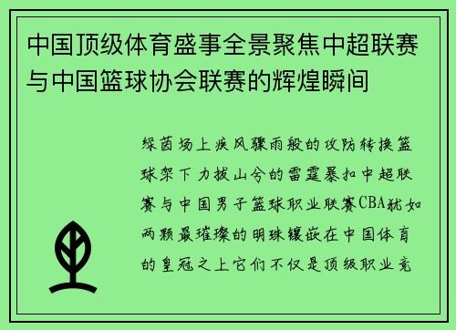 中国顶级体育盛事全景聚焦中超联赛与中国篮球协会联赛的辉煌瞬间
